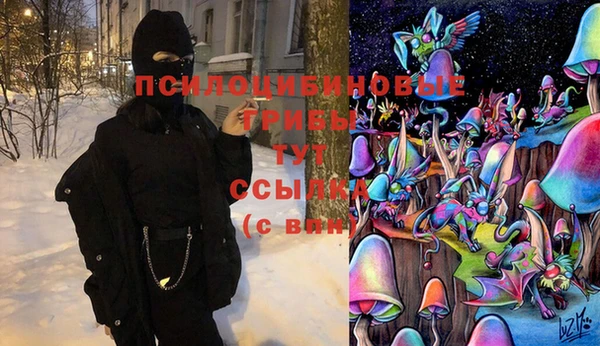 2c-b Ветлуга