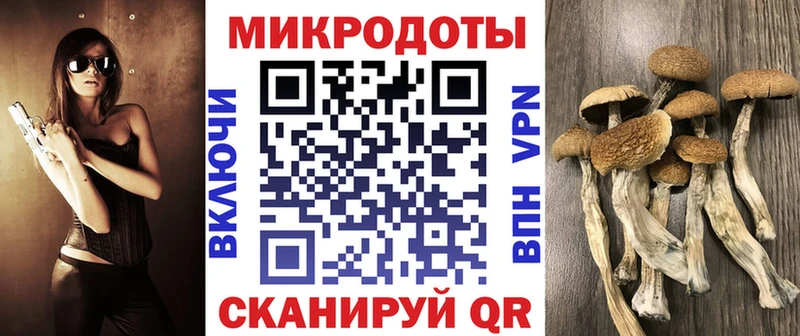 Псилоцибиновые грибы Psilocybe  как найти наркотики  Александровск 